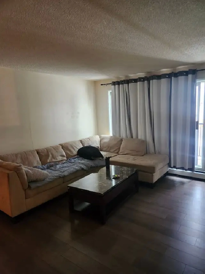 1 Bedroom Apartment for Rent June-01-2026