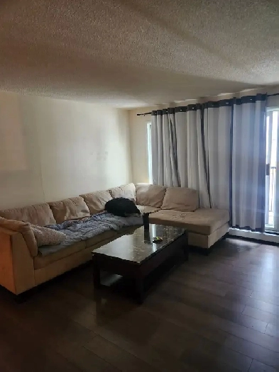 1 Bedroom Apartment for Rent June-01-2026