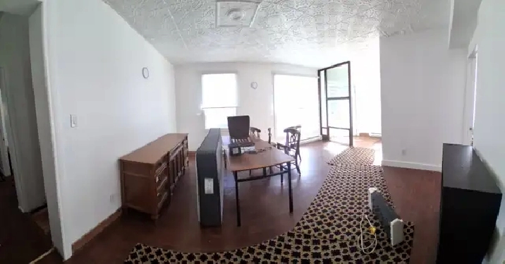 Grand 5 1/2 avec cave d'entreposage et grande cour à MTL