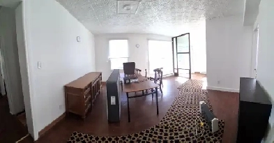 Grand 5 1/2 avec cave d'entreposage et grande cour à MTL