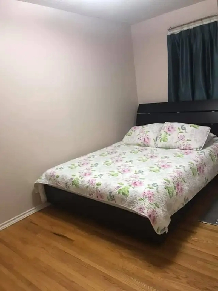ROOM FOR RENT at MAPLES AREA