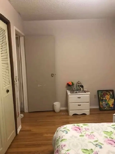 ROOM FOR RENT at MAPLES AREA