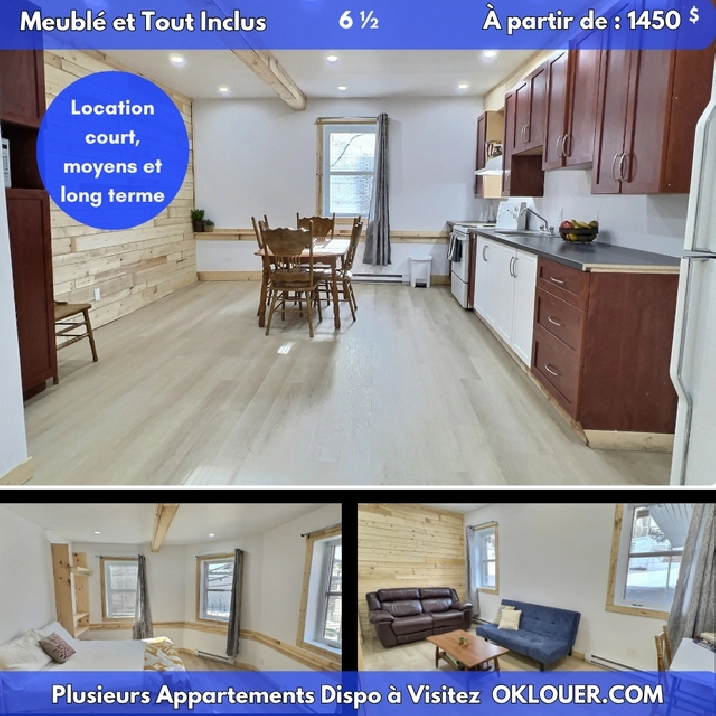 APPARTEMENT MEUBLÉ-TOUT INCLUS 4 CHAMBRES 6 1/2  -  CENTRE VILLE