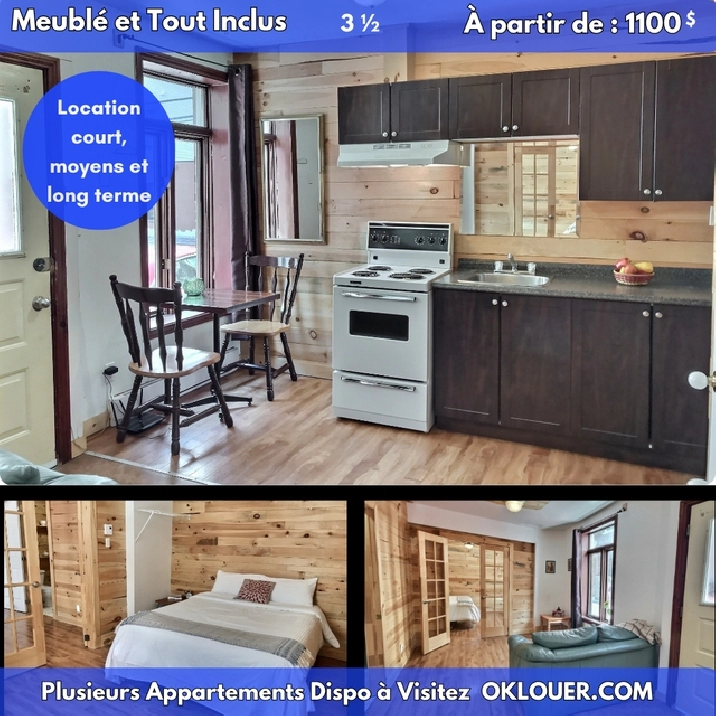 APPARTEMENT 1 CHAMBRE 3 1/2  MEUBLÉ-TOUT INCLUS, CENTRE VILLE