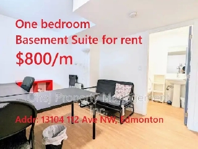 One bedroom basement suite for rent - $800/m