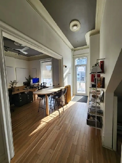 Idéal pour bureau et commerce de proximité Plateau