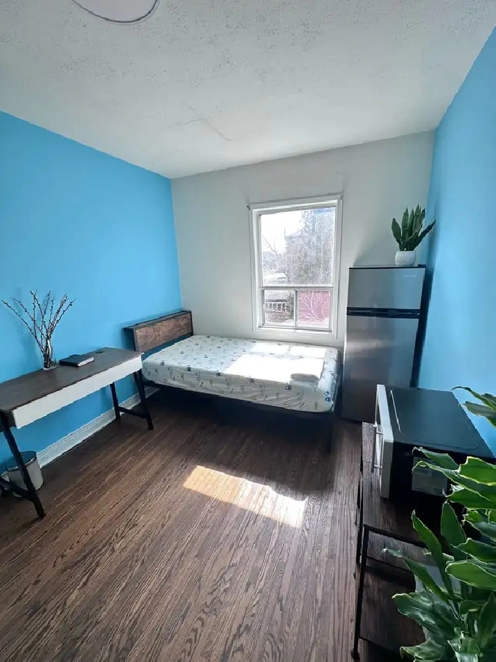 Furnished Room  Daily Fresh Indian Meals   Utilities & Laundry I