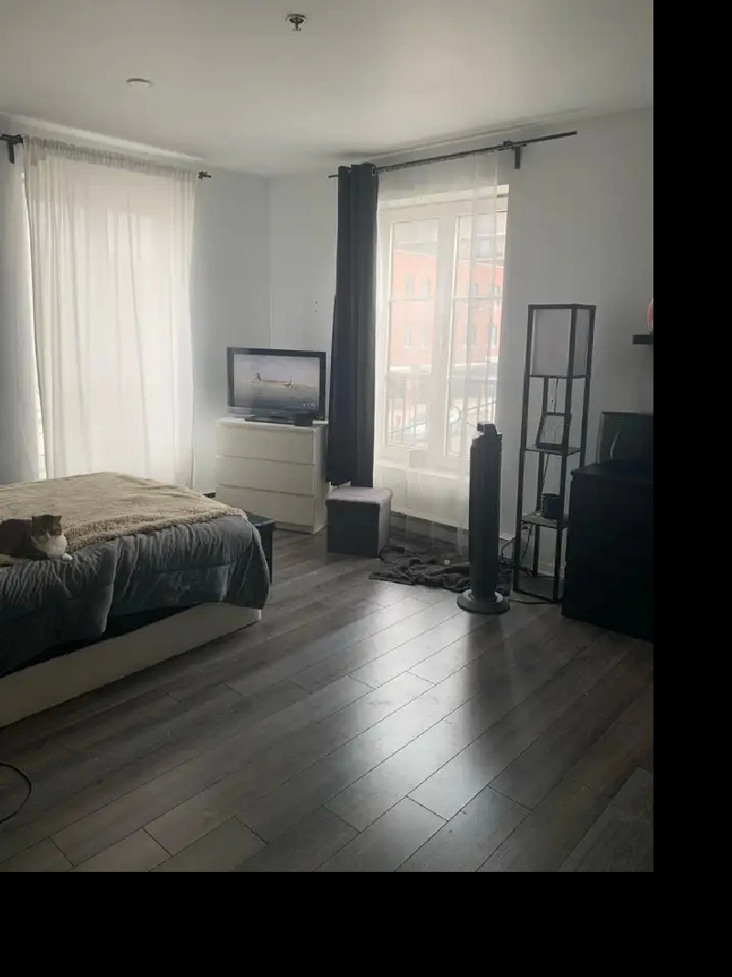 Studio inclus électro à louer – Métro Papineau