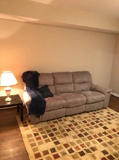 1 Bedroom Furnished Apartment