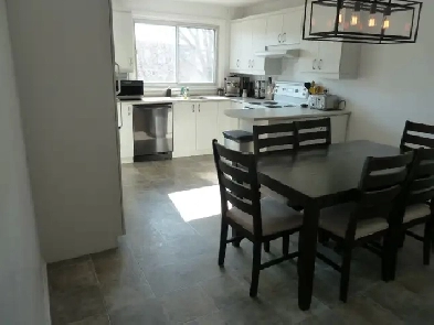 Grand 4 1/2 à Pointe-aux-Trembles pou juin ou juillet 1300$