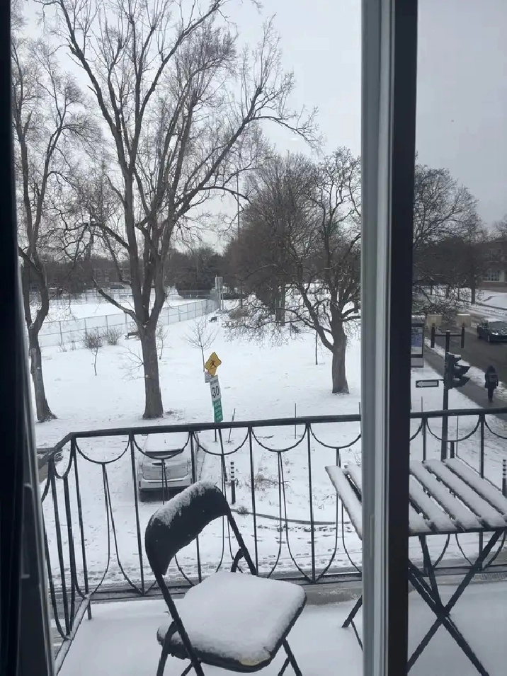 Beau 41/2 face au parc Beaubien a Rosemont