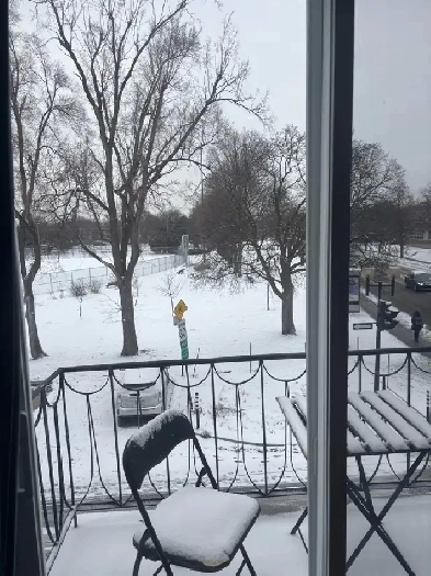 Beau 41/2 face au parc Beaubien a Rosemont