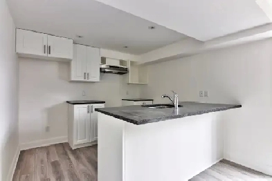 4 1/2 style-condo à Pointe-aux-Trembles - Juillet - Internet