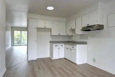 4 1/2 rénové à Pointe-aux-Trembles - Juillet - Internet inclus