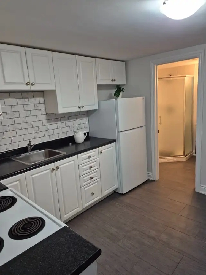 Beautifully renovated apartment