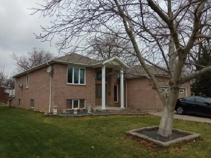 Room in south Windsor for rent