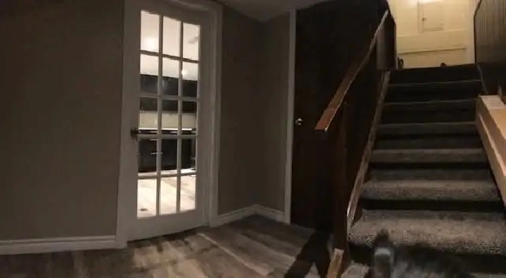 FOR RENT – BASEMENT UNIT IN STONEY CREEK