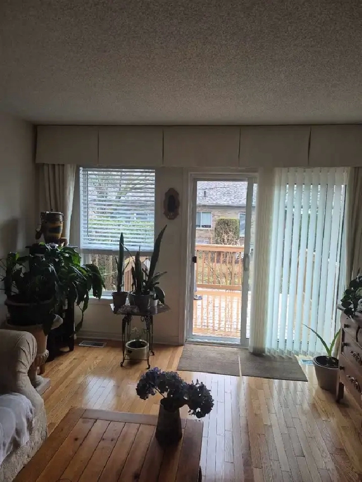 over 55 room mate wanted