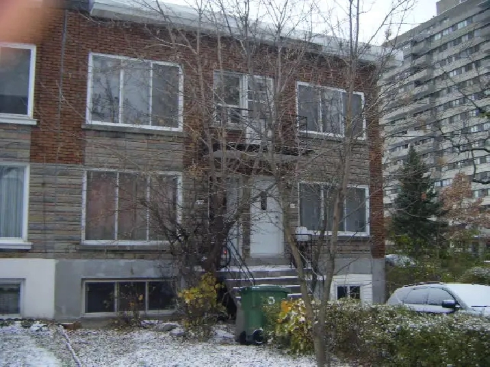 Snowdon area lower duplex