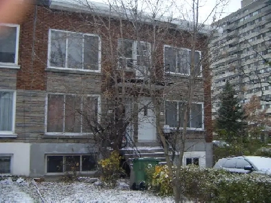 Snowdon area lower duplex