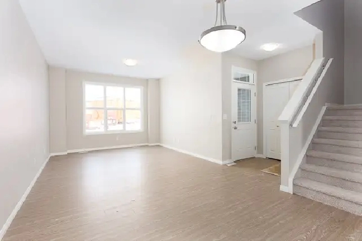 Pet-Friendly Home to Call Your Own