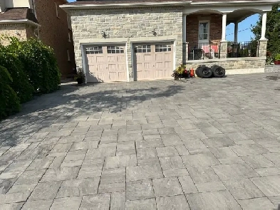 Bright 1-Bedroom Walkout Apartment – Maple/Richmond Hill!