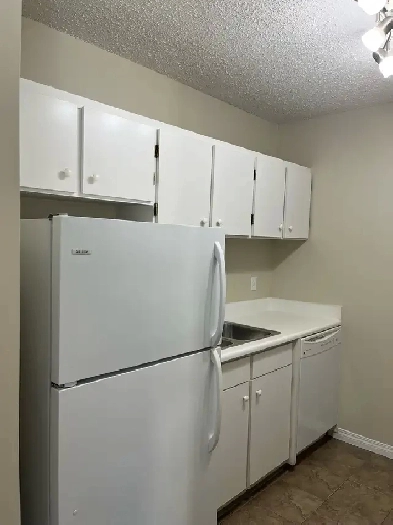 Dalhousie 2 bedroom apartment for rent.