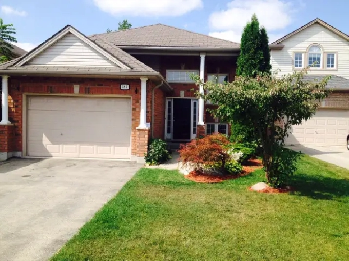 Northwest London 5 bed /3 full bath house for rent from May 1st