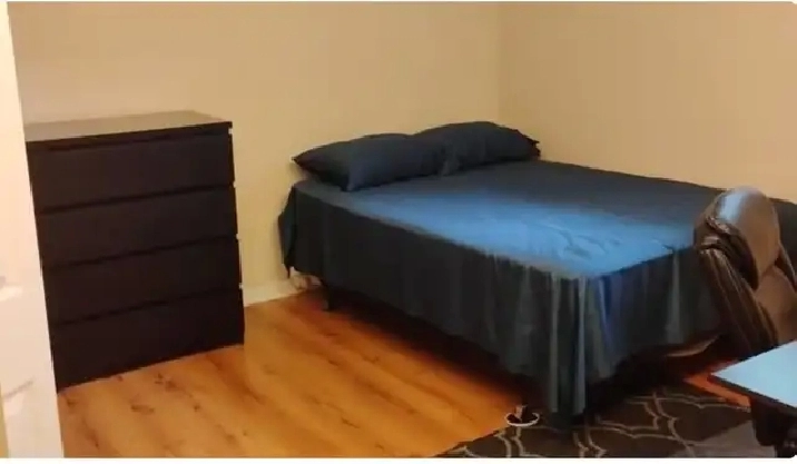 Immed/April-Merivale/Meadowlands-15m/Algonq,LRG 16X13-VIDEO