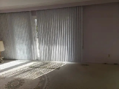 Two separate rooms for rent near Humber collage