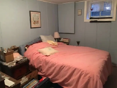 One Bedroom basement apartment - Richmond hill