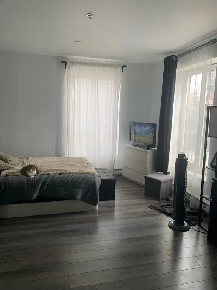 Luxury Studio for Rent – Steps from Metro Papineau