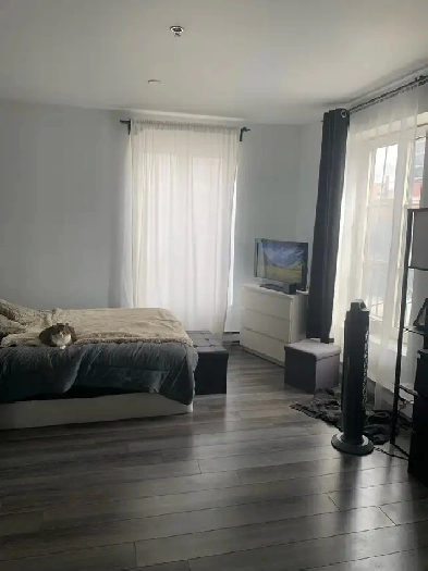 Luxury Studio for Rent – Steps from Metro Papineau