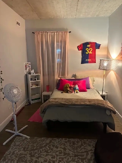 IMMEDIATE-APARTMENT AVAILABLE FOR SUBLET! WATERLOO REGION!