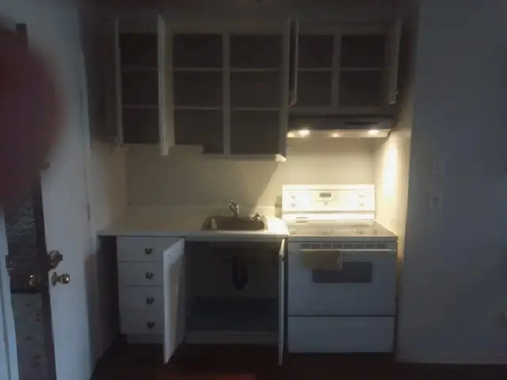 2 1/2 semi-meublé, Rosemont-la petite patrie