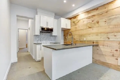 3 1/2 luxueux 1 CAC neuf dans Rosemont près du métro Fabre.