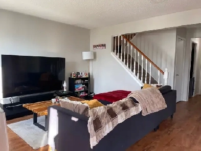 ATTENTION TRENT STUDENTS – 3 Bdrm - Prime Reid St Location