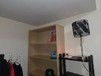 Bedroom in a shared basement | Leslieville Area