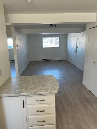 Rougemont 4 1/2 à louer