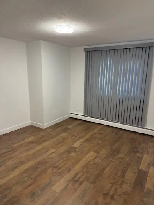 Large 2 BDRM in Old Strathcona! Renovated, Excellent Location!!