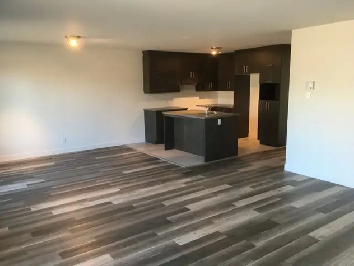 1 MAI 4 1/2 Pont-rouge