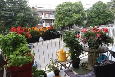 3 ½ cachet, métro Iberville, Villeray, 3e étage, très éclairé