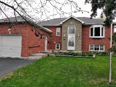 Room For Rent Near Fleming College Lindsay