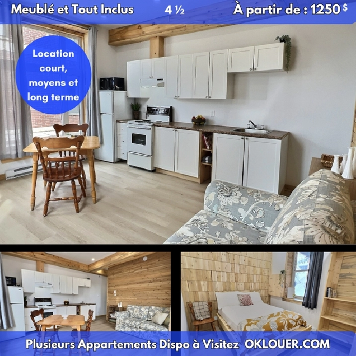 APPARTEMENT MEUBLÉ-TOUT INCLUS 2 CHAMBRES 4 1/2 CENTRE VILLE