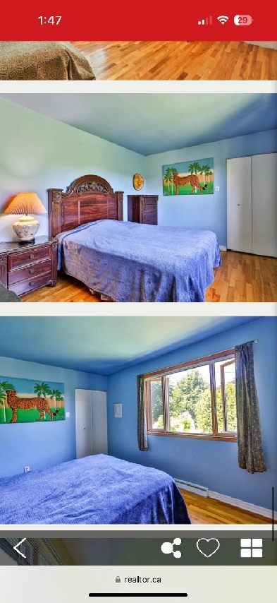 Room for rent West Island $850 in a million dollar home.