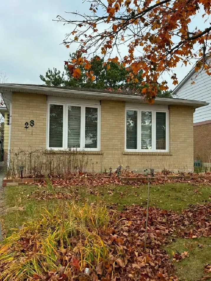 Unfurnished Basement Apartment for Rent in Scarborough.