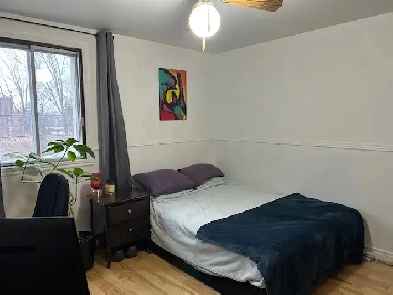 Room for rent in spacious apartment - Chambre a louer