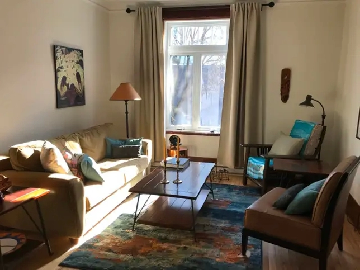 Plateau, 4 ½ rénové, électros, 5 min à pied du métro Mont-Royal