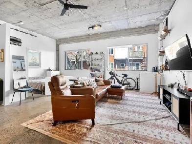 Magnifique logement style loft dans le quartier Villeray