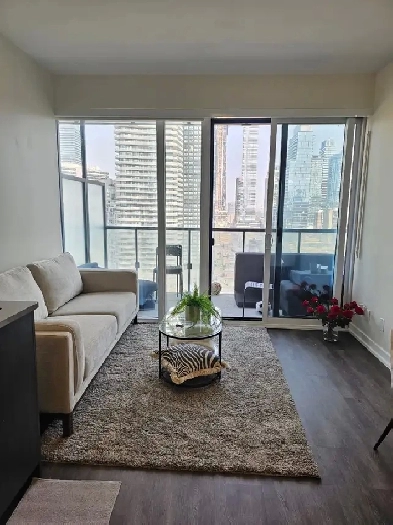 Luxury 1   1 Condo For Summer Sublease